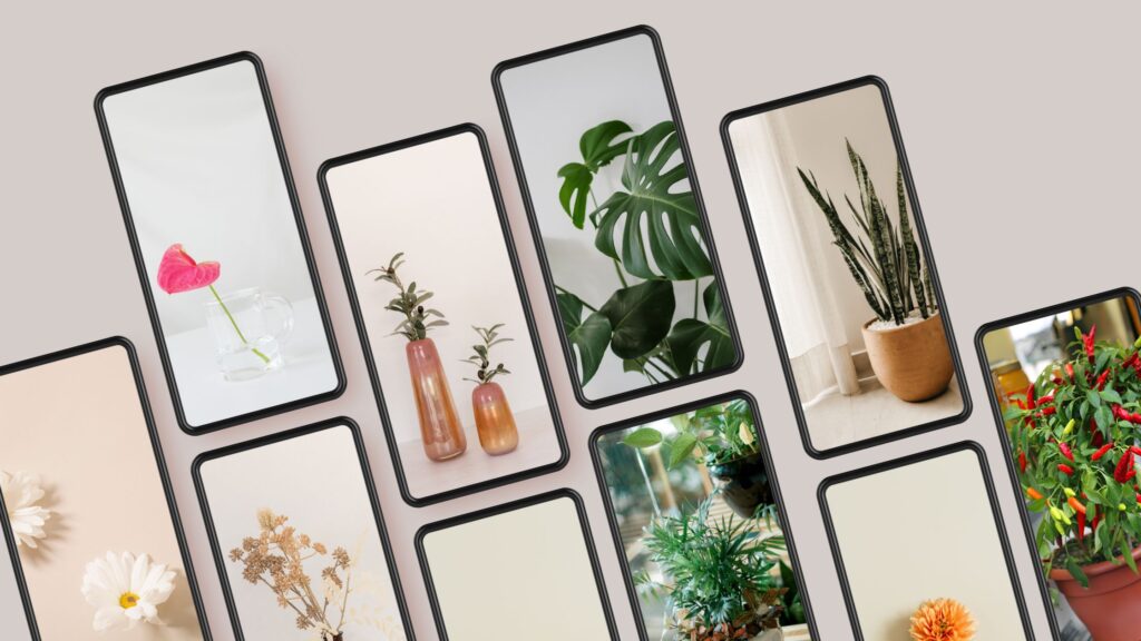 Story-Selling über Instagram-Stories: So verkaufst du authentisch & erfolgreich